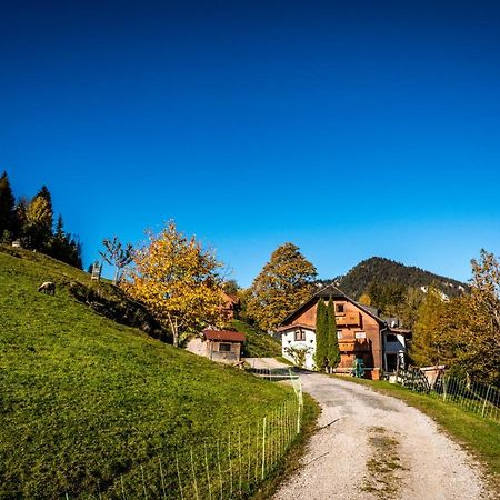 Stallhaeusl Schladming Zewnętrze zdjęcie