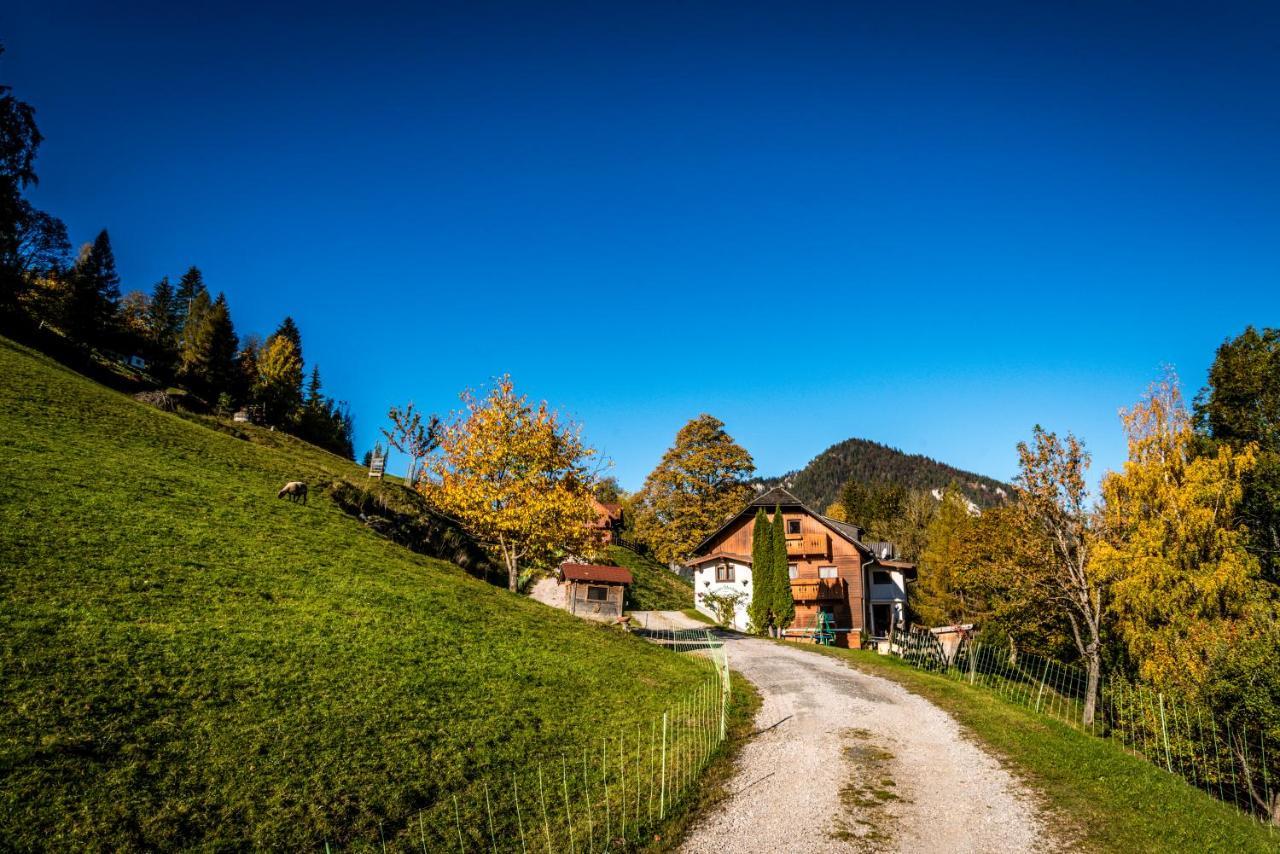 Stallhaeusl Schladming Zewnętrze zdjęcie