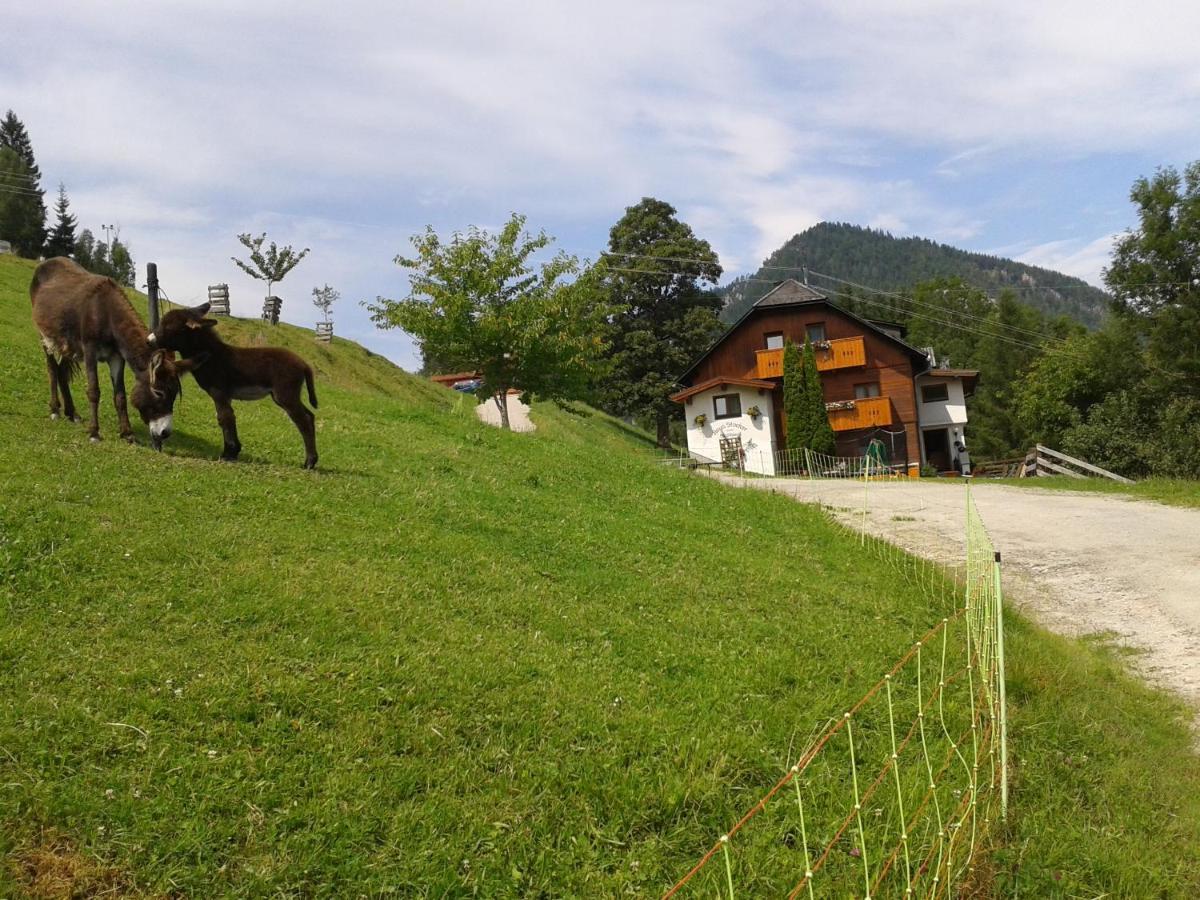 Stallhaeusl Schladming Zewnętrze zdjęcie