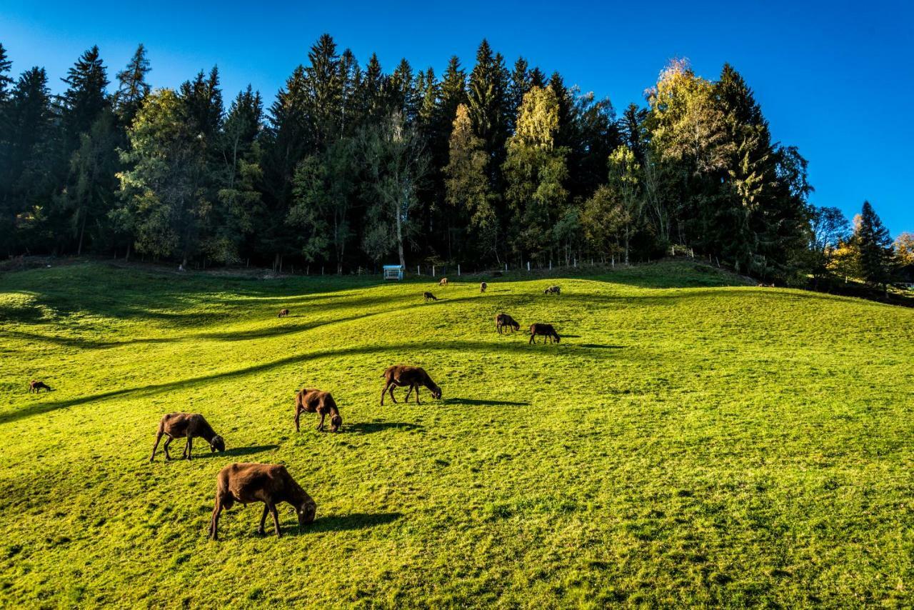 Stallhaeusl Schladming Zewnętrze zdjęcie