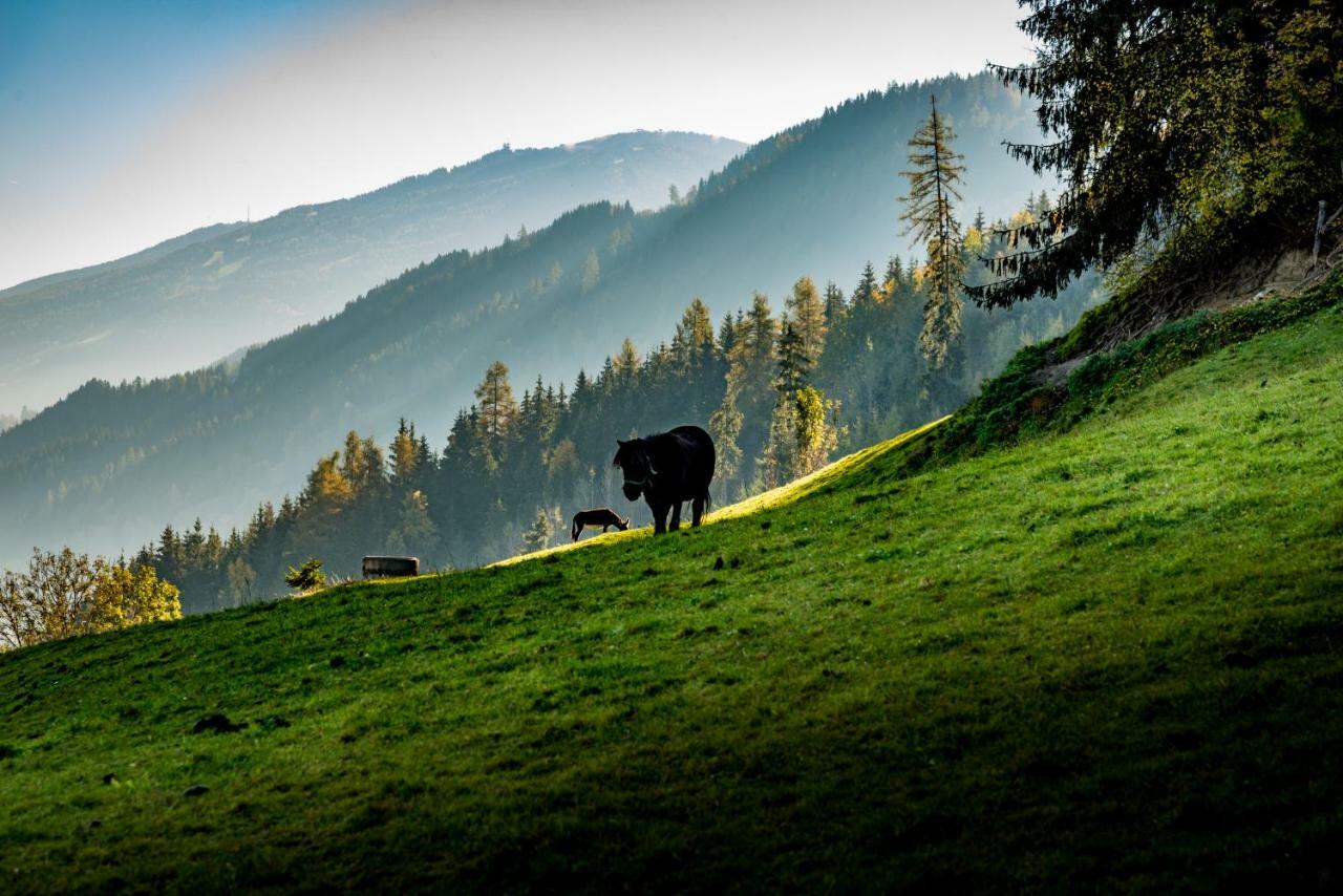 Stallhaeusl Schladming Zewnętrze zdjęcie